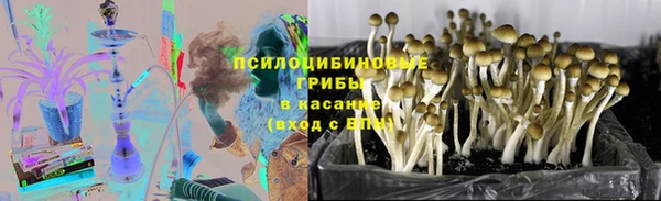 прущий лед Ельня