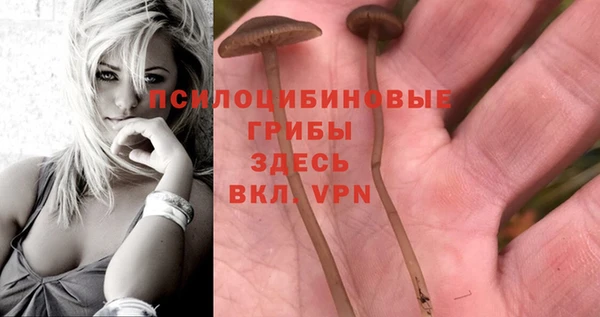 прущий лед Ельня