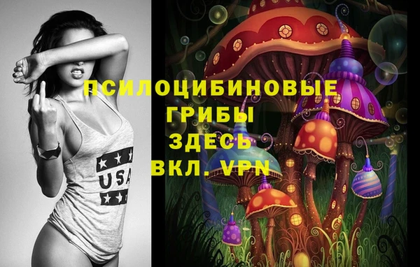 прущий лед Ельня