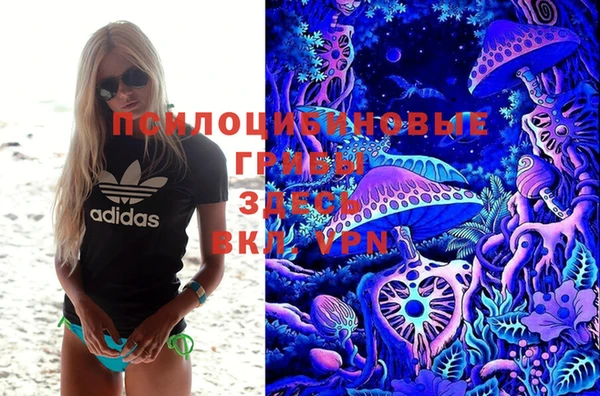 прущий лед Ельня