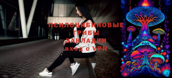 альфа пвп Елизово