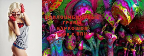прущий лед Ельня