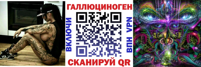 где купить наркоту  Элиста  гидра онион  Галлюциногенные грибы Cubensis 